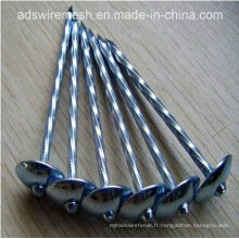 Twisted Shank Umbrella Head Roofing Nails (BWG8 - BWG14)